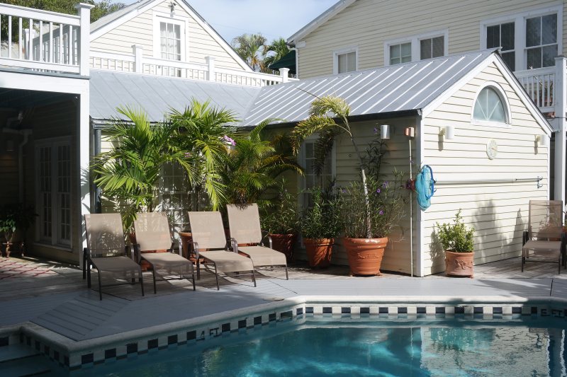 Pool deck with lounge chairs and mature palm trees